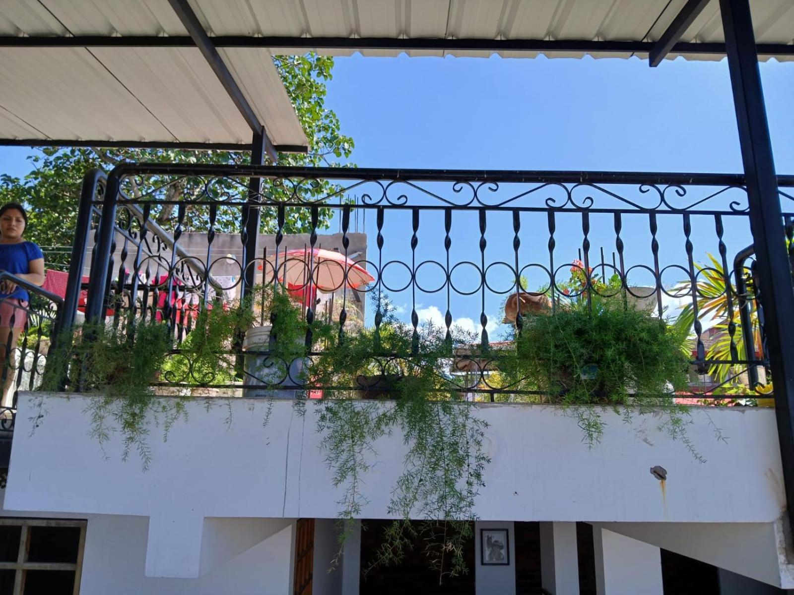 Alojamiento Familiar Custodia Tarapoto Exterior foto