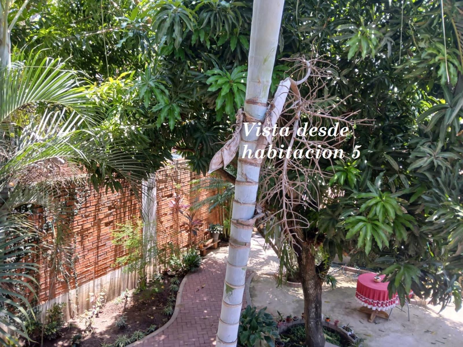 Alojamiento Familiar Custodia Tarapoto Exterior foto
